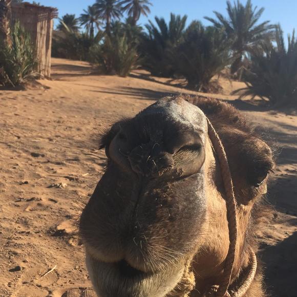 Meet your Posher, Jamie - Picture 1 of 1